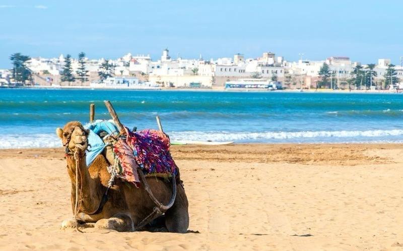 Appartement Essaouira Proche De La Mer Buitenkant foto